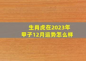 生肖虎在2023年甲子12月运势怎么样