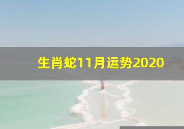 生肖蛇11月运势2020