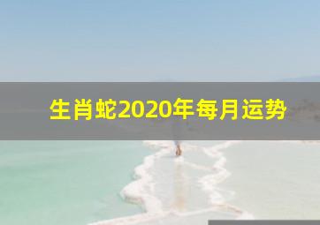 生肖蛇2020年每月运势