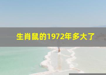 生肖鼠的1972年多大了