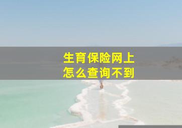 生育保险网上怎么查询不到