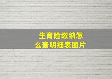 生育险缴纳怎么查明细表图片