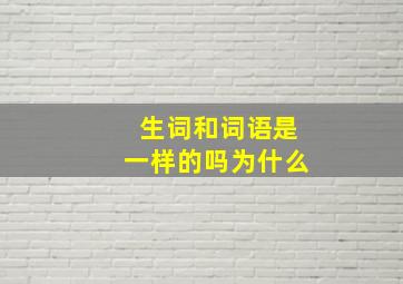 生词和词语是一样的吗为什么