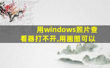 用windows照片查看器打不开,用画图可以