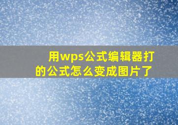 用wps公式编辑器打的公式怎么变成图片了