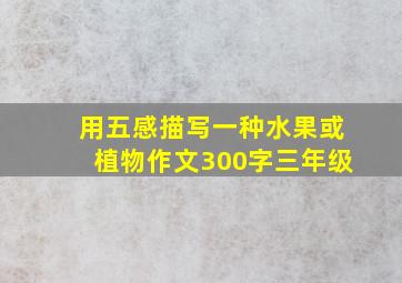 用五感描写一种水果或植物作文300字三年级