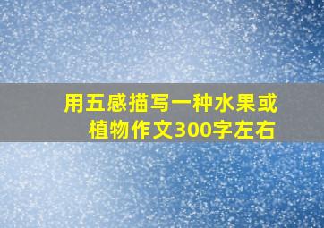 用五感描写一种水果或植物作文300字左右