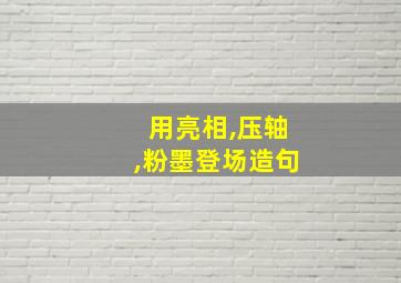 用亮相,压轴,粉墨登场造句