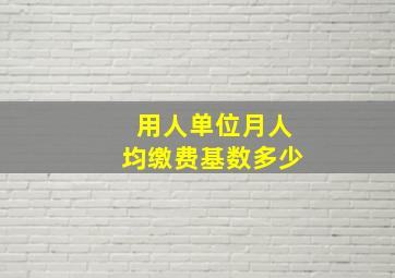 用人单位月人均缴费基数多少