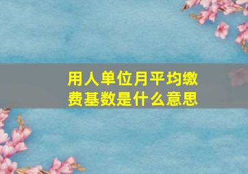 用人单位月平均缴费基数是什么意思