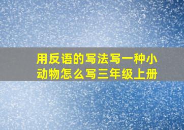 用反语的写法写一种小动物怎么写三年级上册