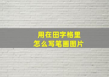 用在田字格里怎么写笔画图片