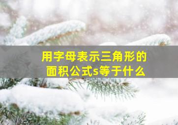 用字母表示三角形的面积公式s等于什么