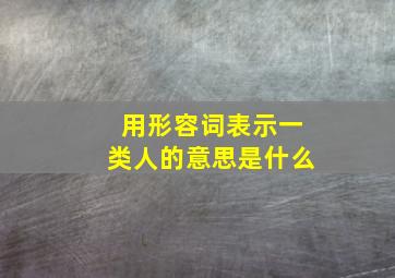 用形容词表示一类人的意思是什么