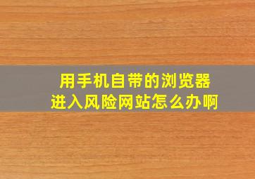 用手机自带的浏览器进入风险网站怎么办啊