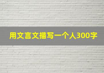 用文言文描写一个人300字