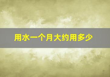 用水一个月大约用多少