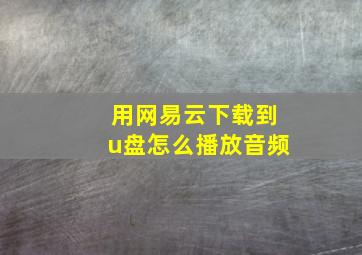 用网易云下载到u盘怎么播放音频