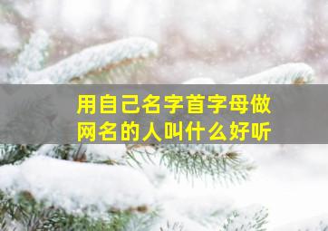 用自己名字首字母做网名的人叫什么好听