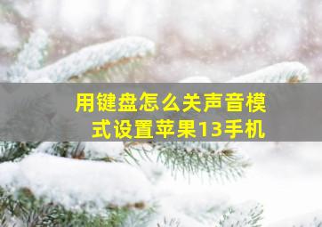 用键盘怎么关声音模式设置苹果13手机