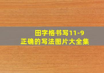 田字格书写11-9正确的写法图片大全集