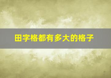 田字格都有多大的格子