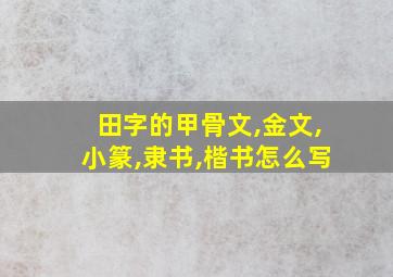 田字的甲骨文,金文,小篆,隶书,楷书怎么写