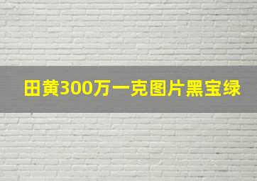 田黄300万一克图片黑宝绿