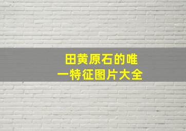 田黄原石的唯一特征图片大全