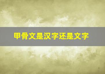 甲骨文是汉字还是文字