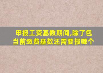 申报工资基数期间,除了包当前缴费基数还需要报哪个