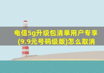 电信5g升级包清单用户专享(9.9元号码级版)怎么取消