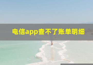 电信app查不了账单明细