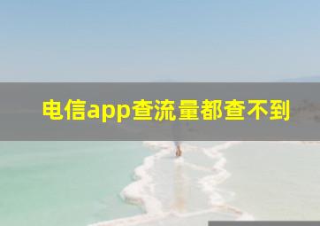 电信app查流量都查不到