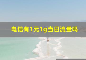 电信有1元1g当日流量吗