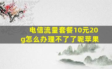 电信流量套餐10元20g怎么办理不了了呢苹果