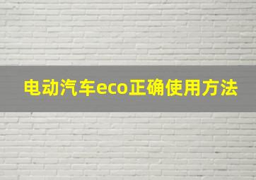 电动汽车eco正确使用方法