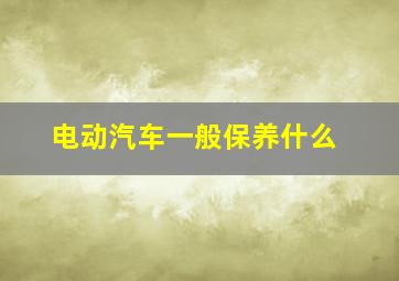 电动汽车一般保养什么