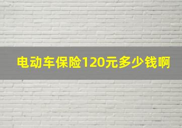 电动车保险120元多少钱啊