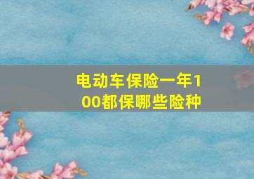 电动车保险一年100都保哪些险种