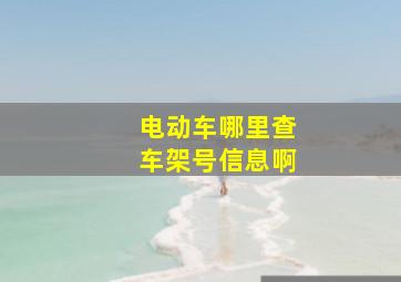 电动车哪里查车架号信息啊