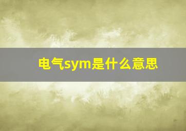 电气sym是什么意思