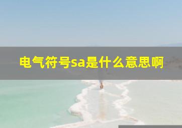 电气符号sa是什么意思啊