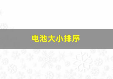 电池大小排序