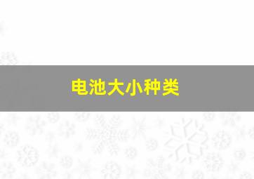 电池大小种类