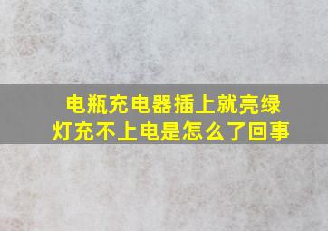 电瓶充电器插上就亮绿灯充不上电是怎么了回事