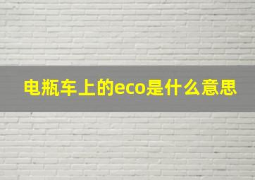 电瓶车上的eco是什么意思