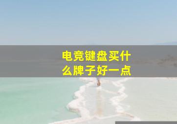 电竞键盘买什么牌子好一点