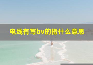 电线有写bv的指什么意思