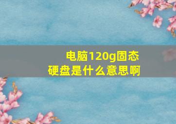 电脑120g固态硬盘是什么意思啊